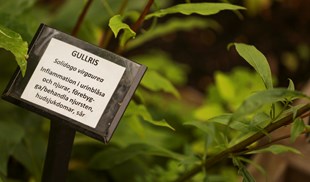 vadstena_klosterhotel-32.jpg