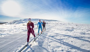 Storhogna Fjällen längd Åk en mil 3 HW16.jpg