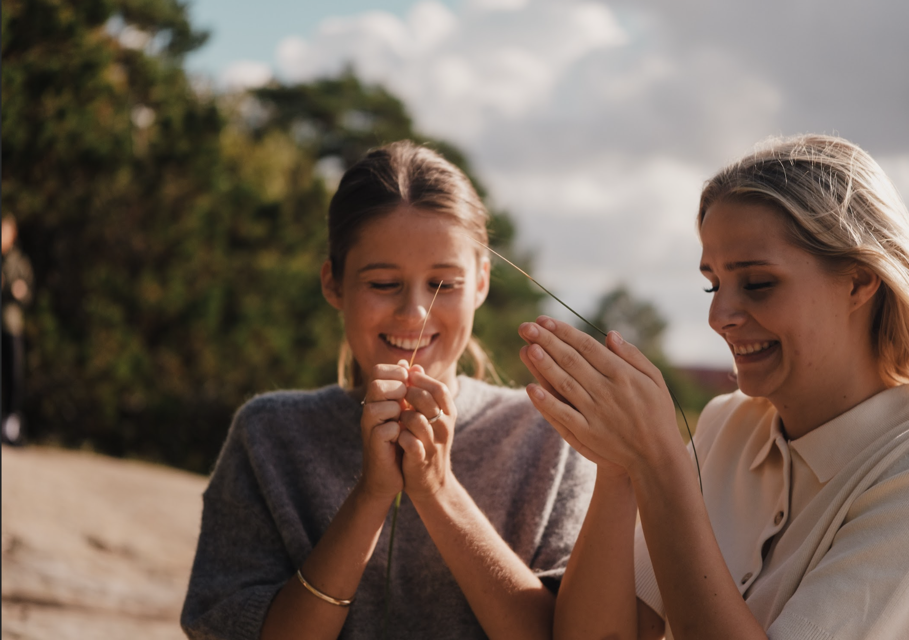 Skärmavbild 2025-09-29 kl. 11.17.49.png